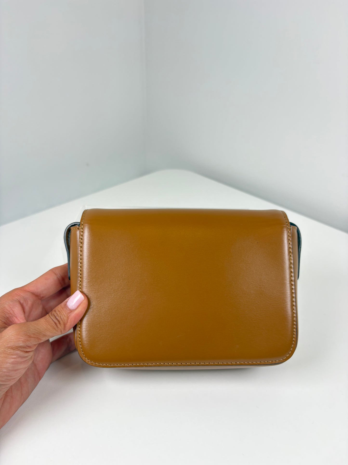 Pre-Owned CELINE Teen Triomphe Handbag, Natural