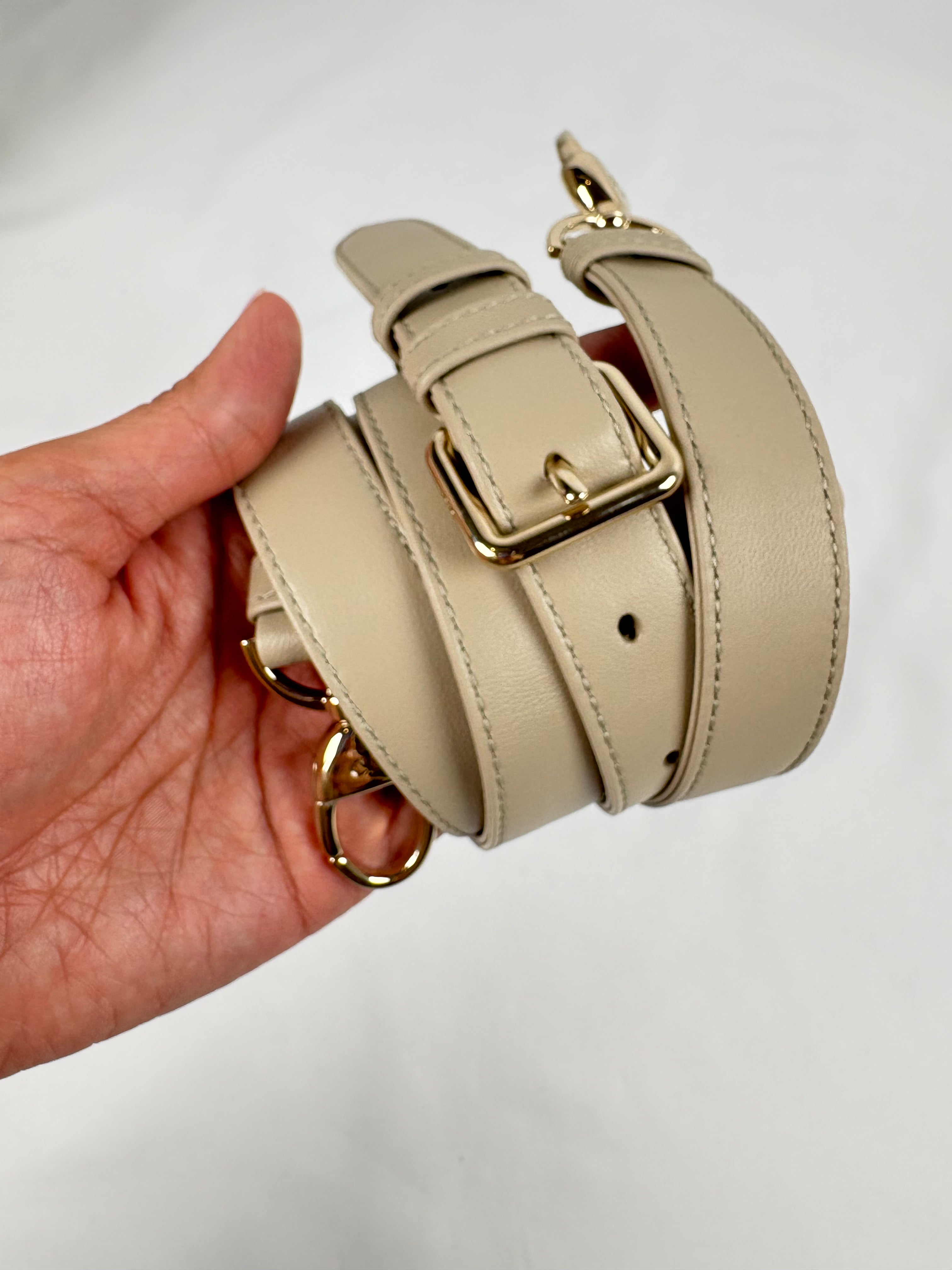 Pre-Owned CHRISTIAN DIOR Lady Dior Desert Taupe Handbag, Medium