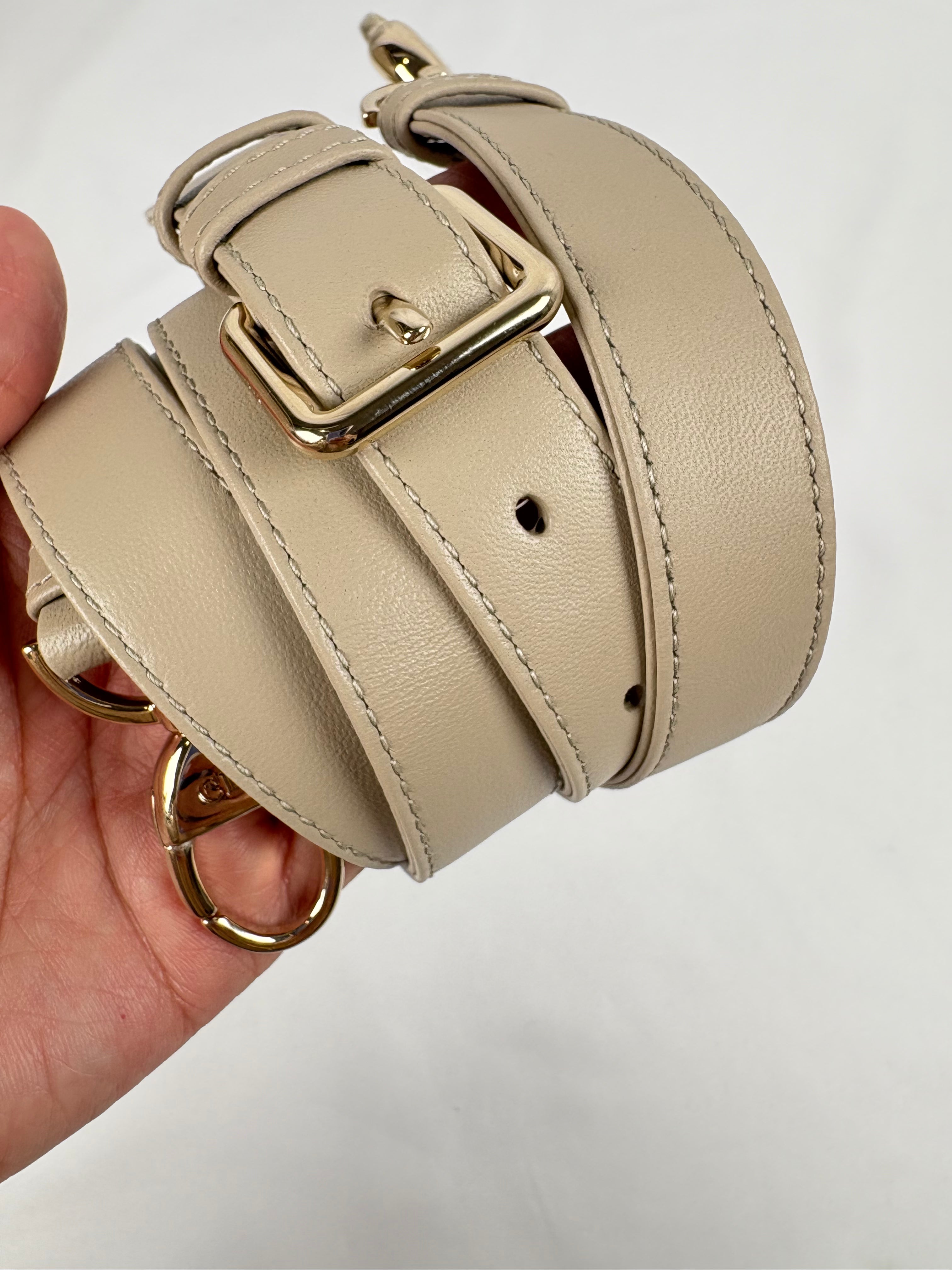 Pre-Owned CHRISTIAN DIOR Lady Dior Desert Taupe Handbag, Medium