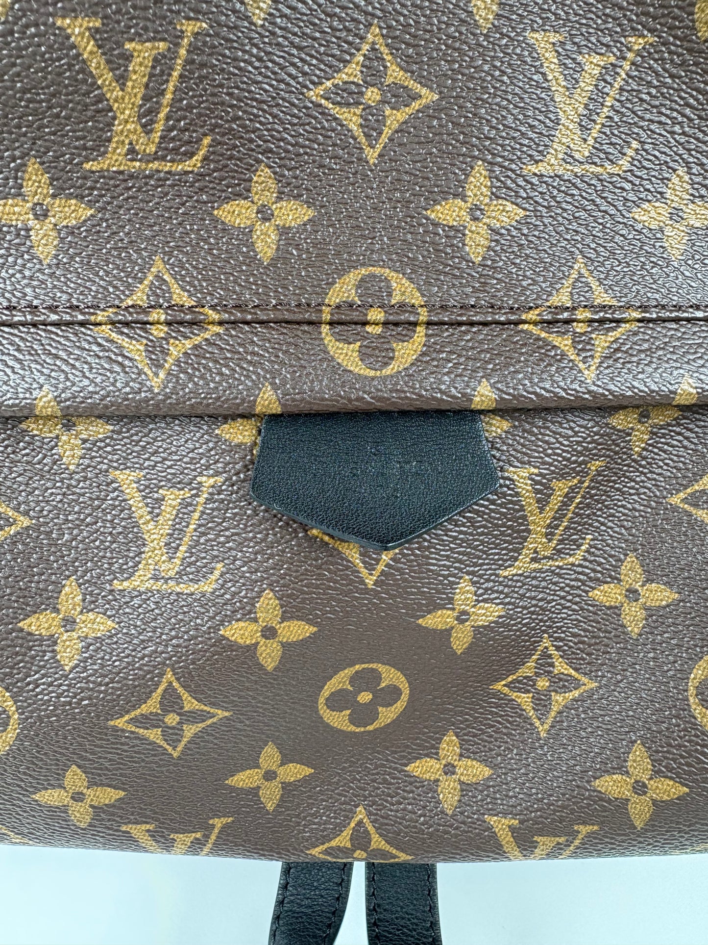 Pre-Owned LOUIS VUITTON Palm Springs Backpack, Monogram, MM