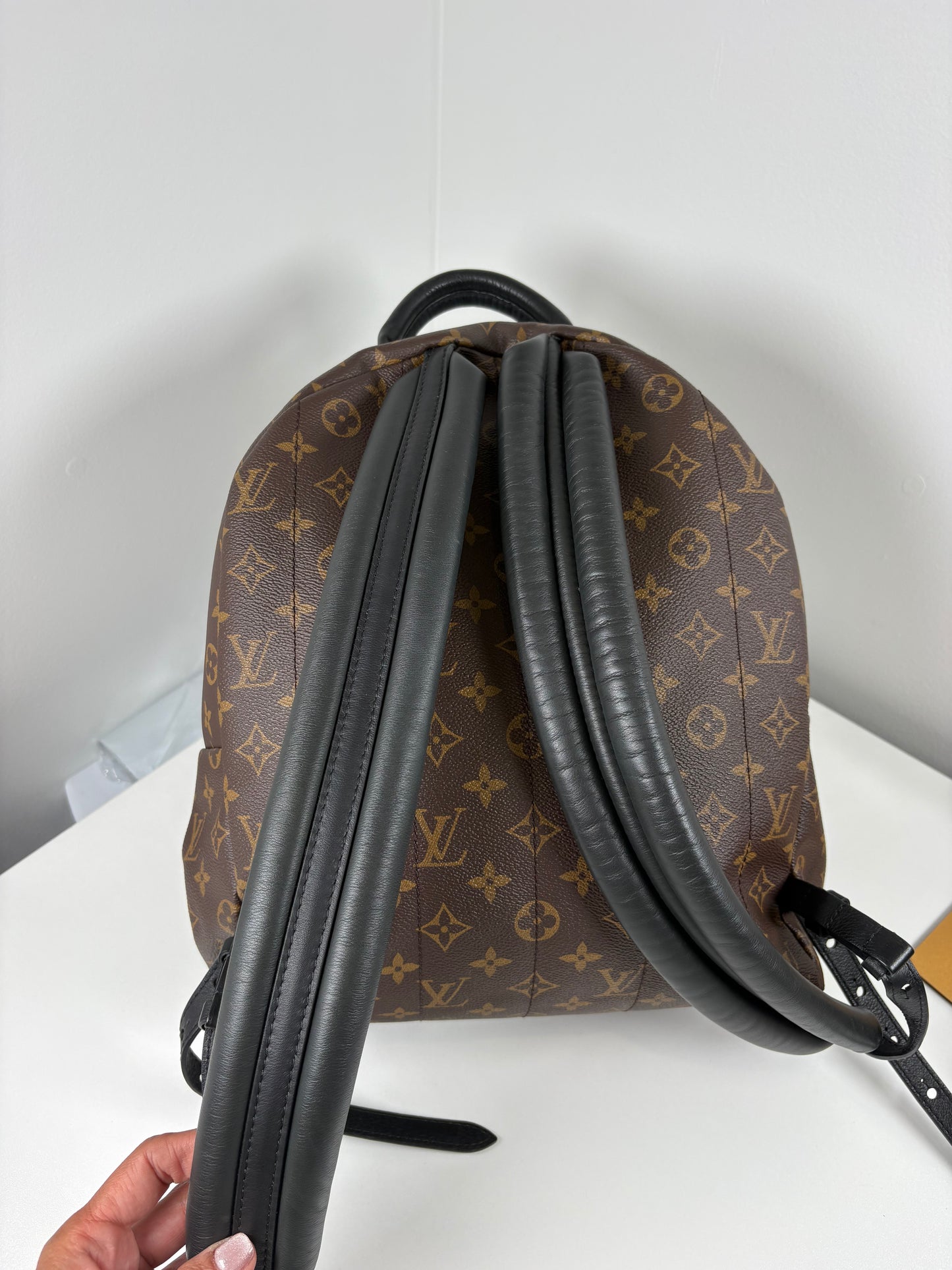 Pre-Owned LOUIS VUITTON Palm Springs Backpack, Monogram, MM